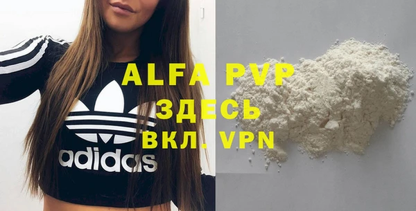 спайс Вяземский