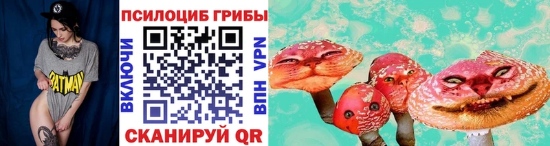 Галлюциногенные грибы Psilocybine cubensis Осинники